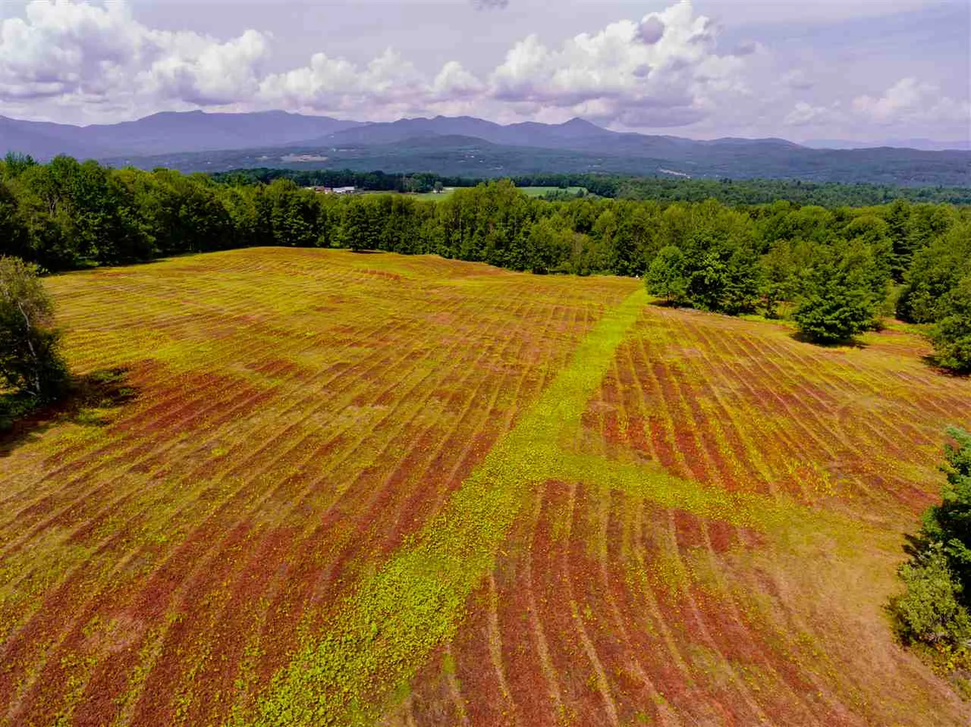 00 Brownsville Road Stowe VT 05672