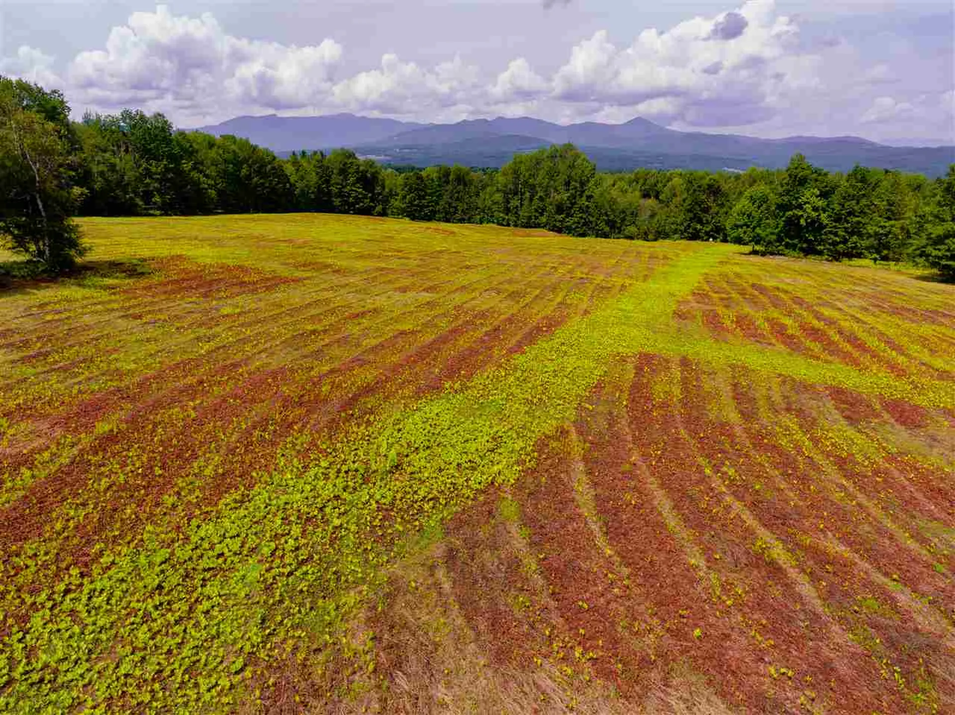 00 Brownsville Road Stowe VT 05672