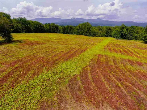 00 Brownsville Road Stowe VT 05672