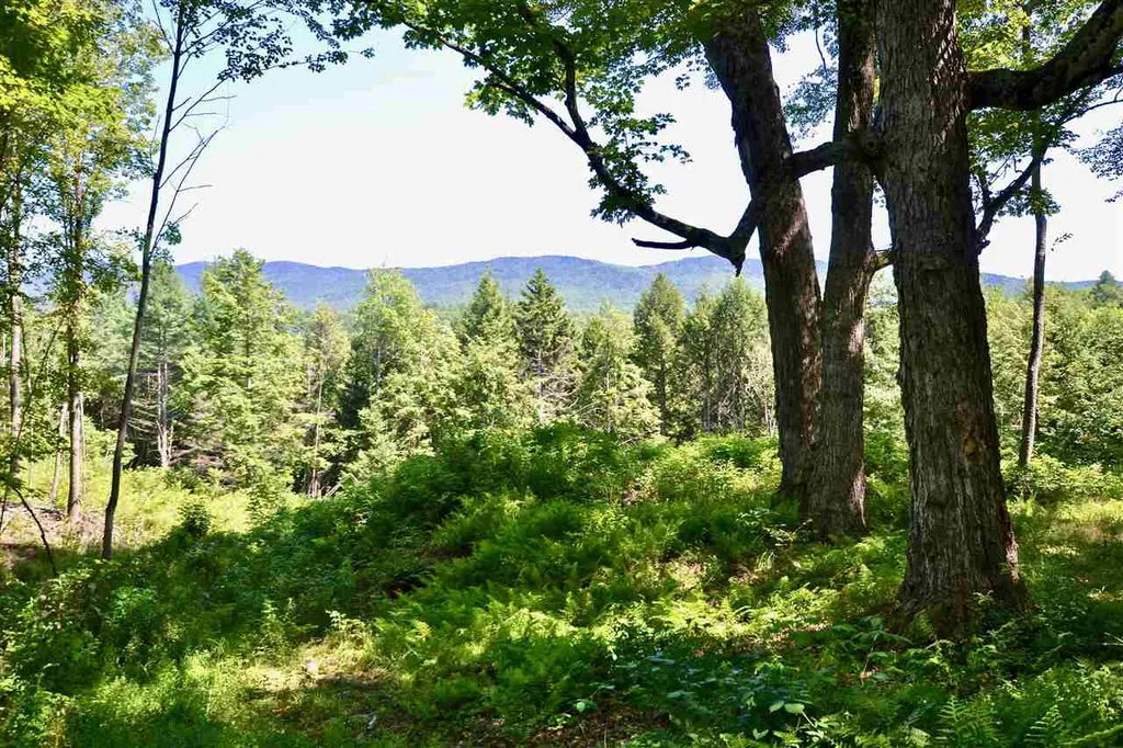 Lot 5 Guptil Road Waterbury VT 05677
