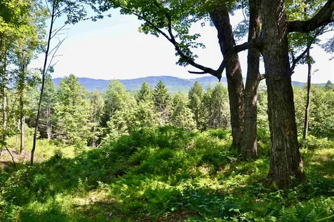 Lot 5 Guptil Road Waterbury VT 05677