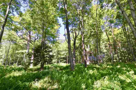 Lot 5 Guptil Road Waterbury VT 05677