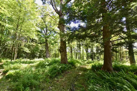 Lot 5 Guptil Road Waterbury VT 05677