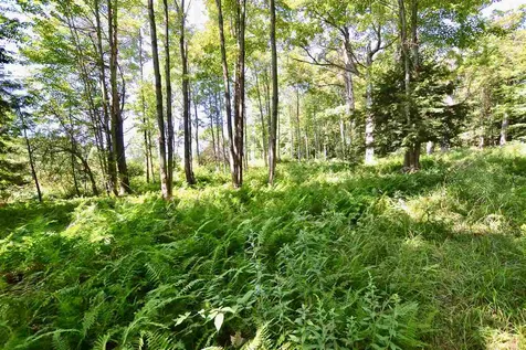 Lot 5 Guptil Road Waterbury VT 05677