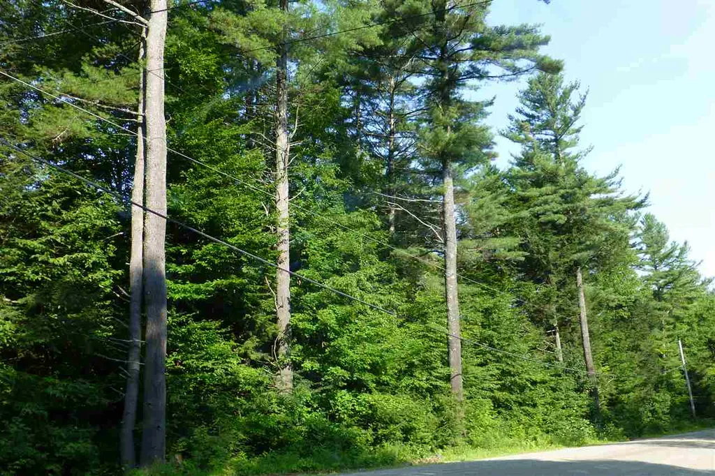 Taft Road Townshend VT 05353