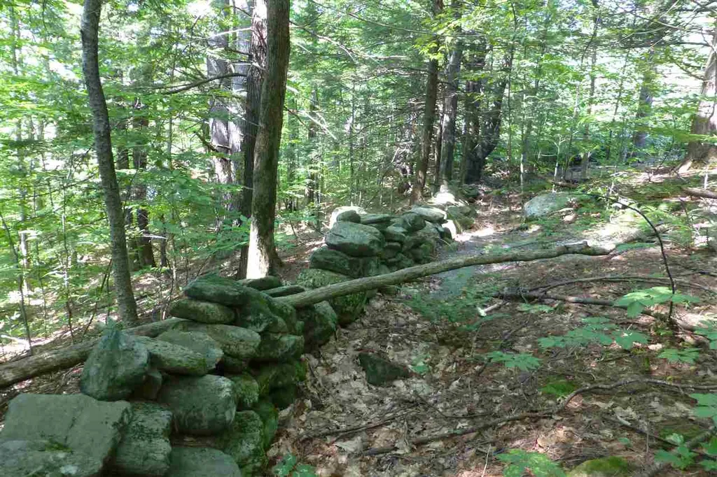 Taft Road Townshend VT 05353
