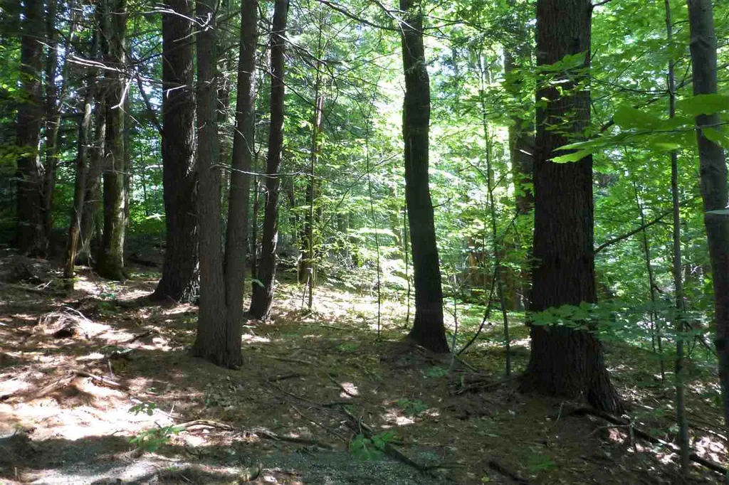 Taft Road Townshend VT 05353