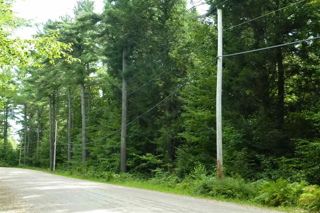 Taft Road Townshend VT 05353