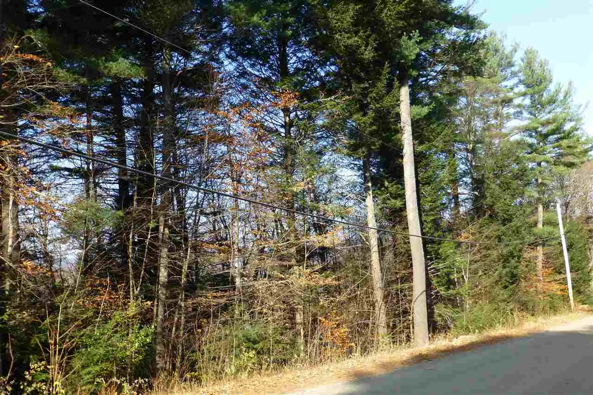 Taft Road Townshend VT 05353