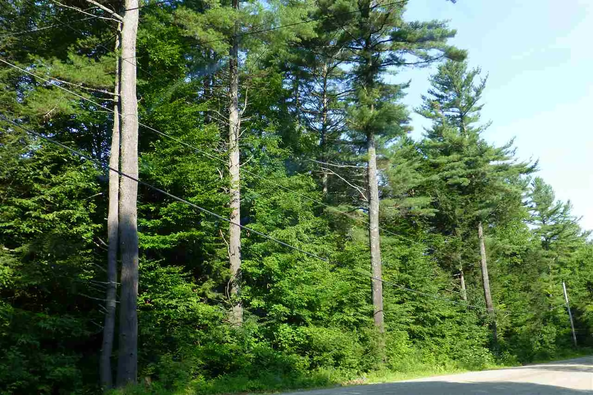 Taft Road Townshend VT 05353