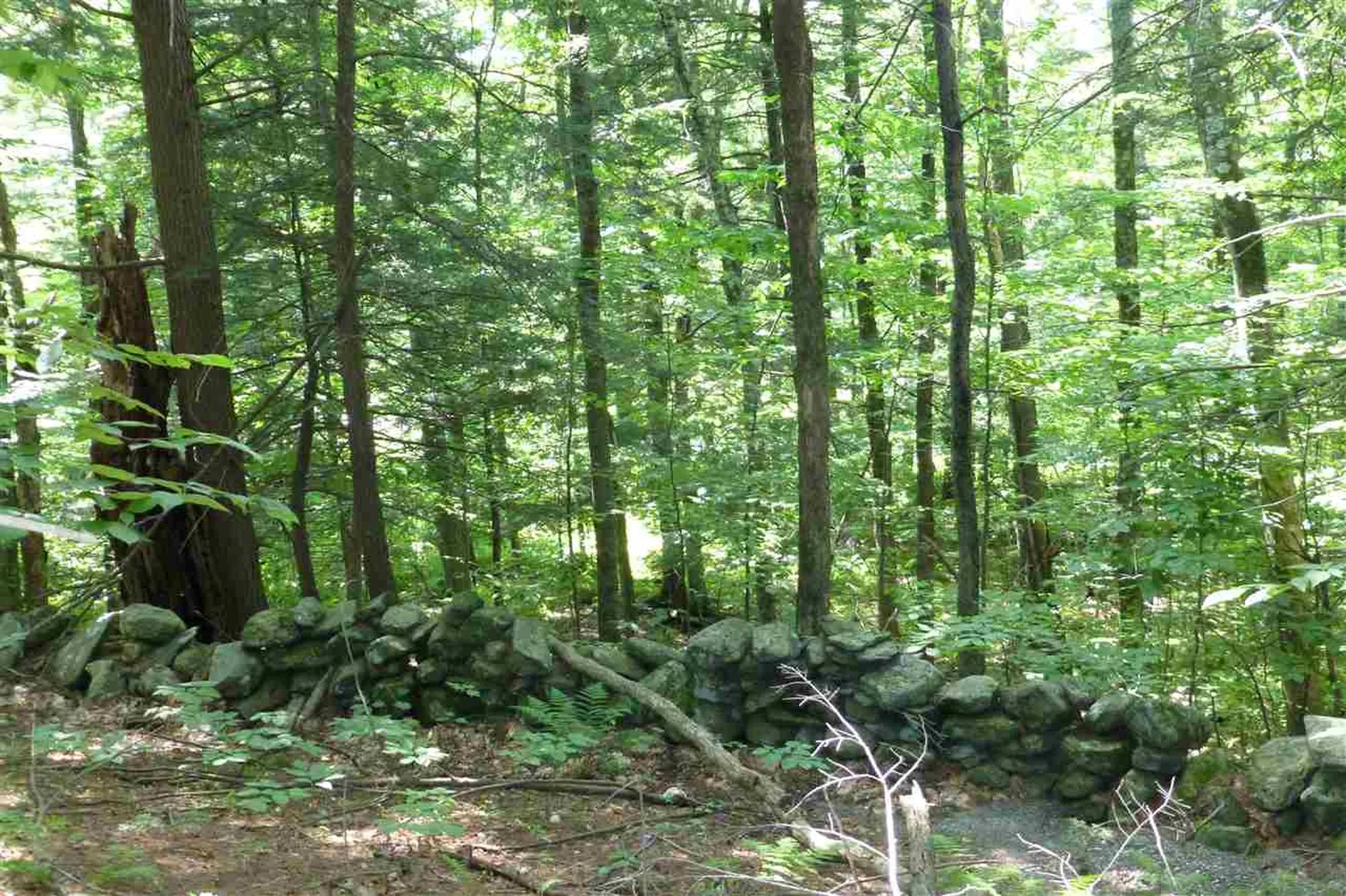Taft Road Townshend VT 05353