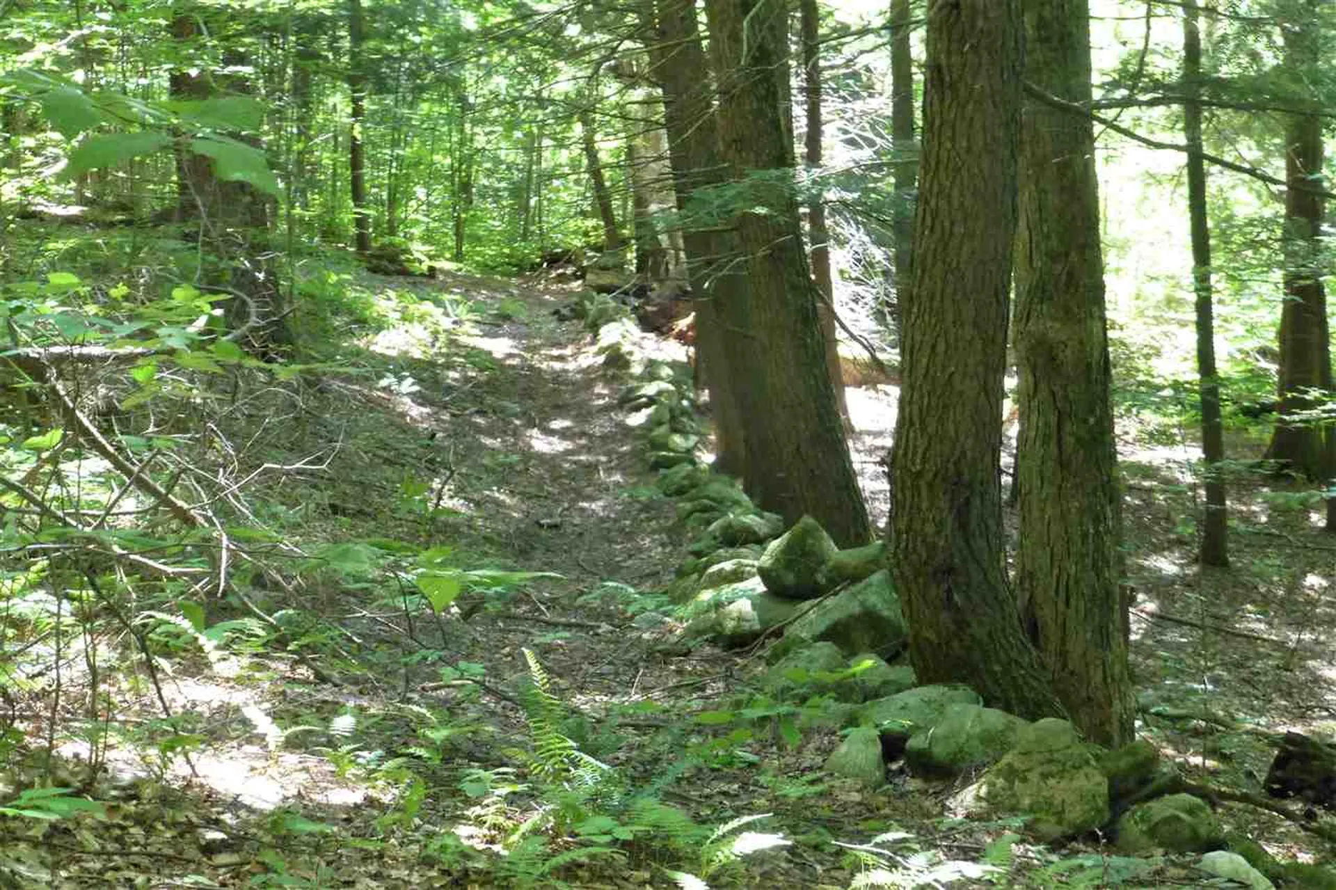 Taft Road Townshend VT 05353
