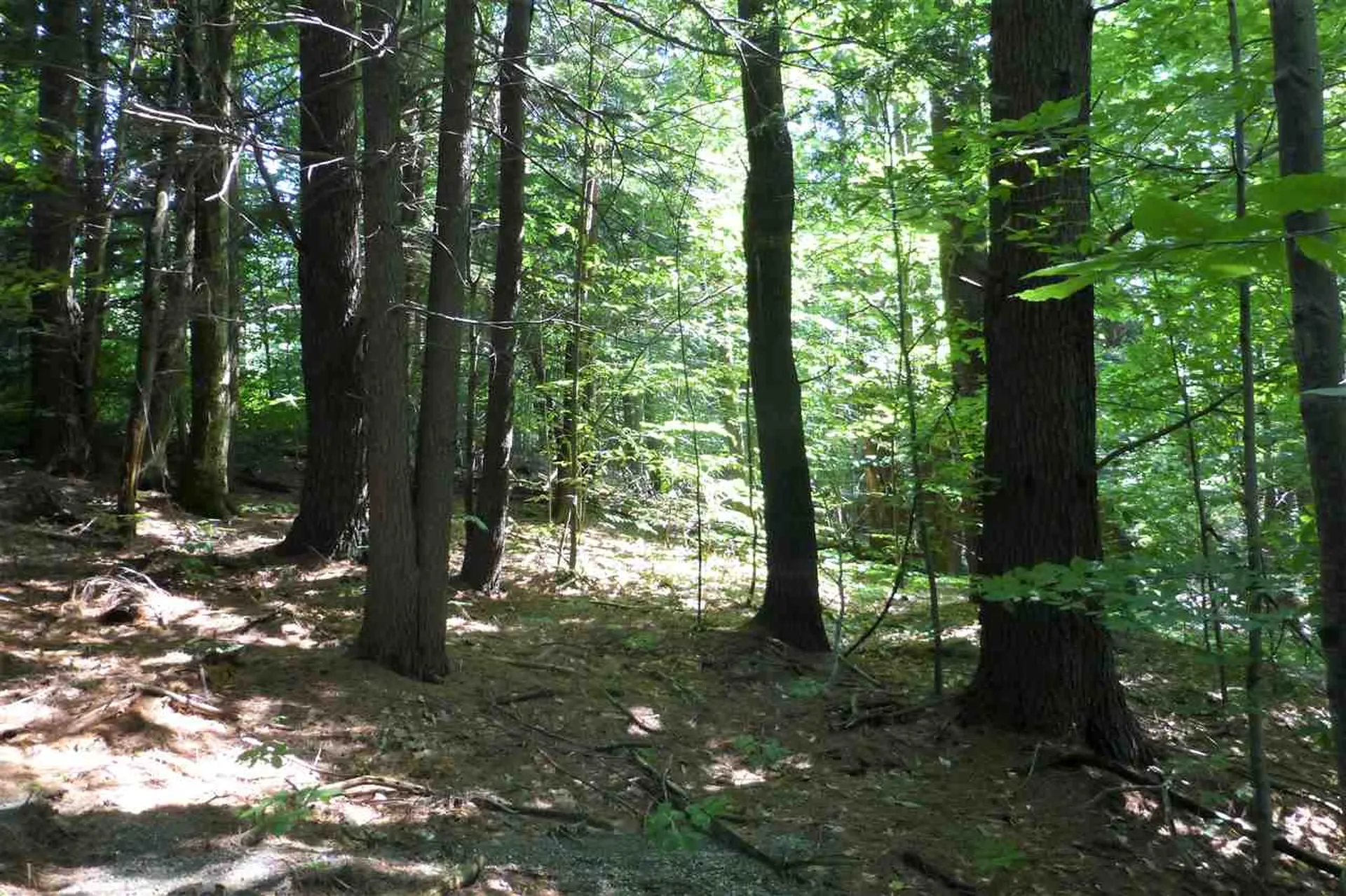 Taft Road Townshend VT 05353