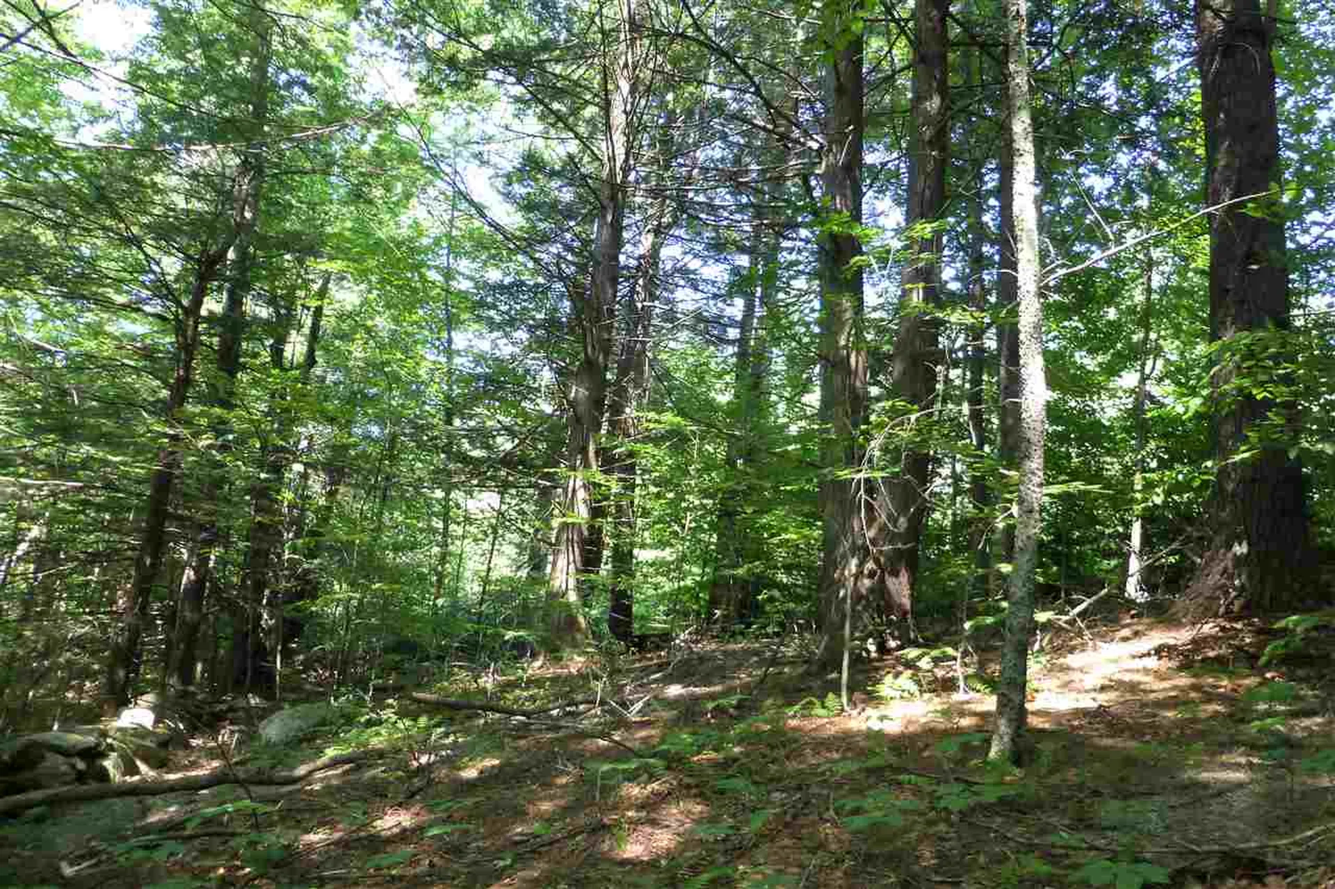 Taft Road Townshend VT 05353