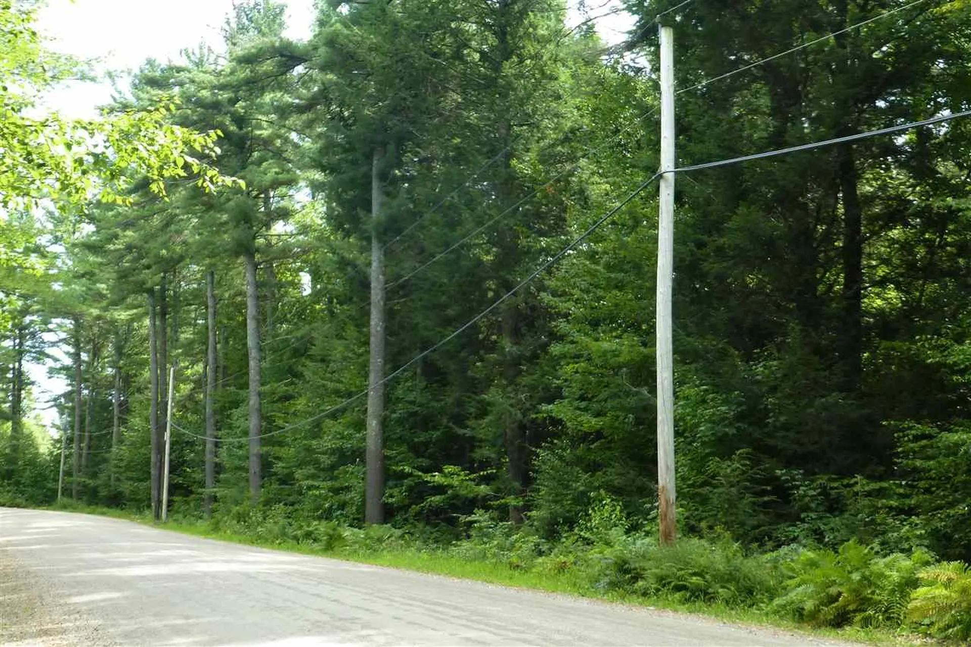 Taft Road Townshend VT 05353