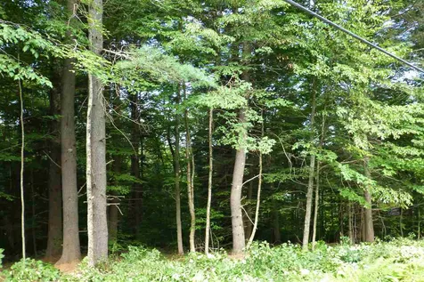 Taft Road Townshend VT 05353