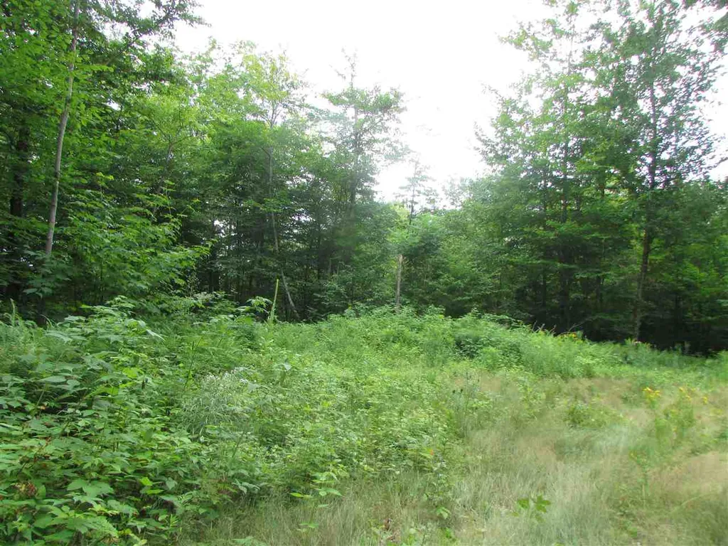 Nichols Pond Road Hardwick VT 05843