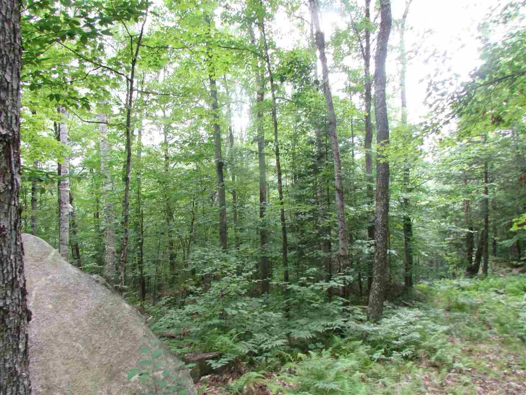 Nichols Pond Road Hardwick VT 05843