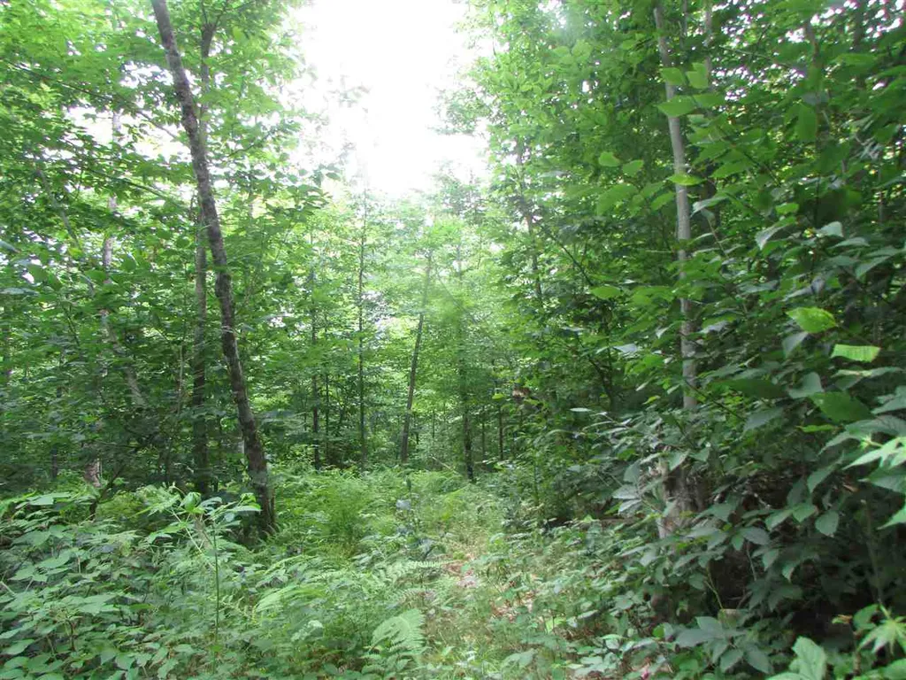 Nichols Pond Road Hardwick VT 05843