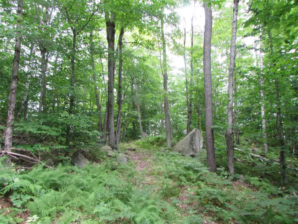 Nichols Pond Road Hardwick VT 05843