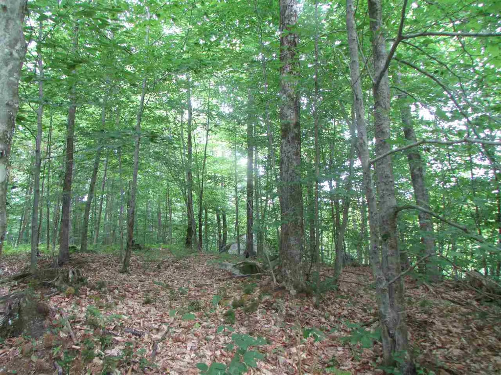 Nichols Pond Road Hardwick VT 05843