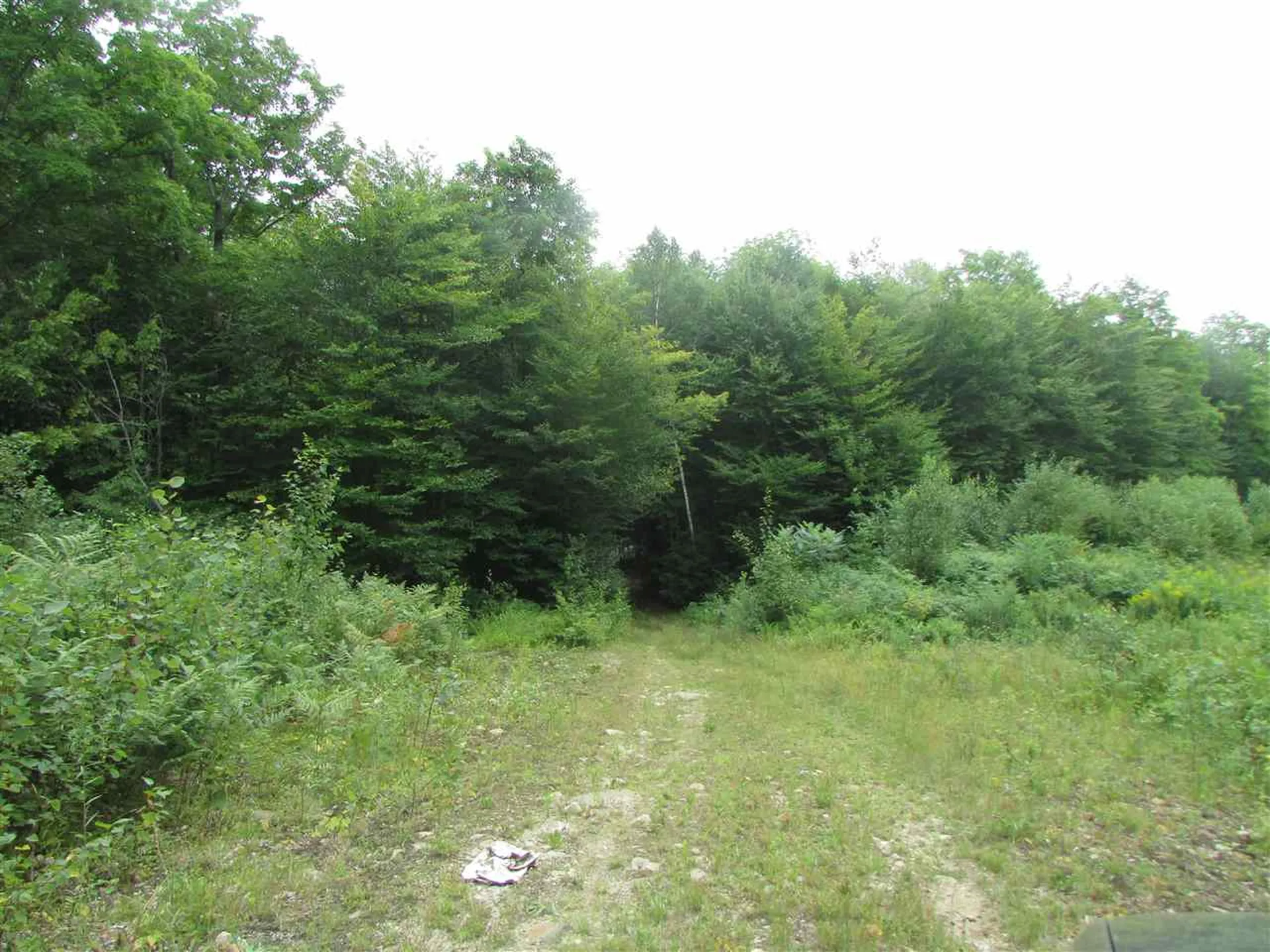 Nichols Pond Road Hardwick VT 05843