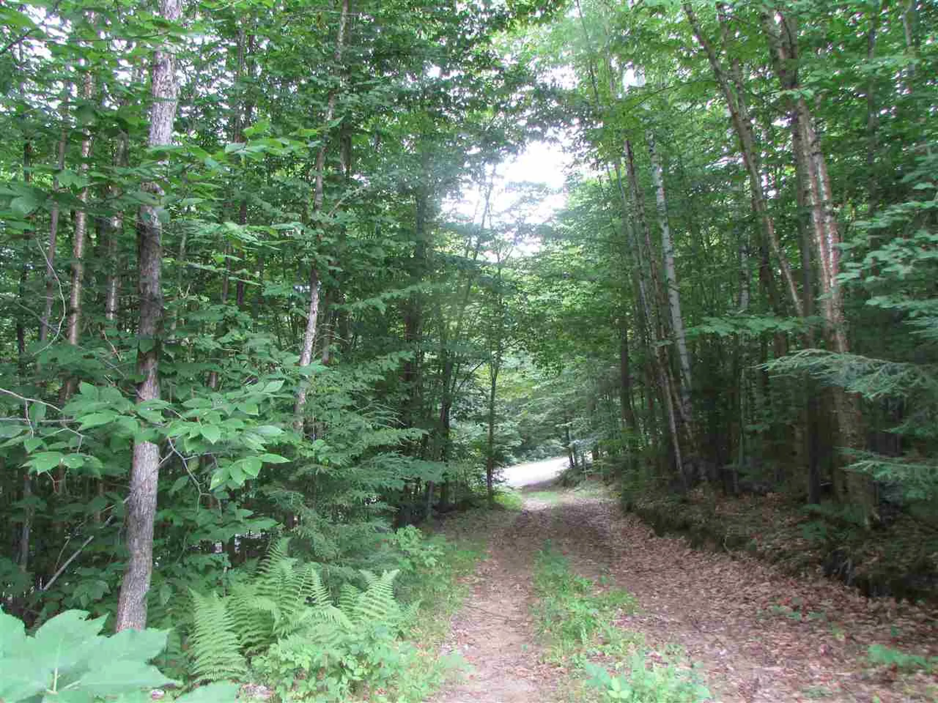 Nichols Pond Road Hardwick VT 05843