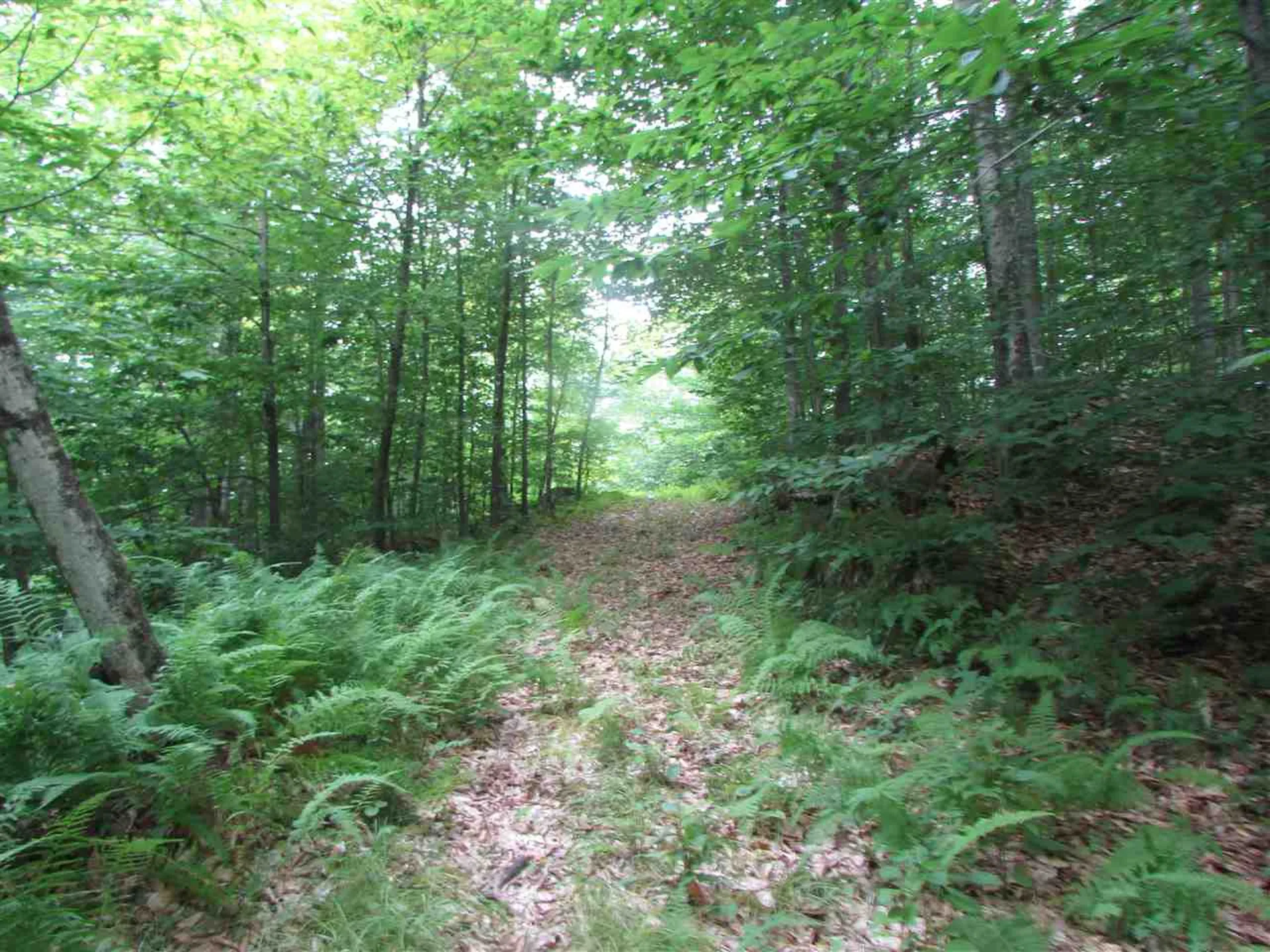 Nichols Pond Road Hardwick VT 05843