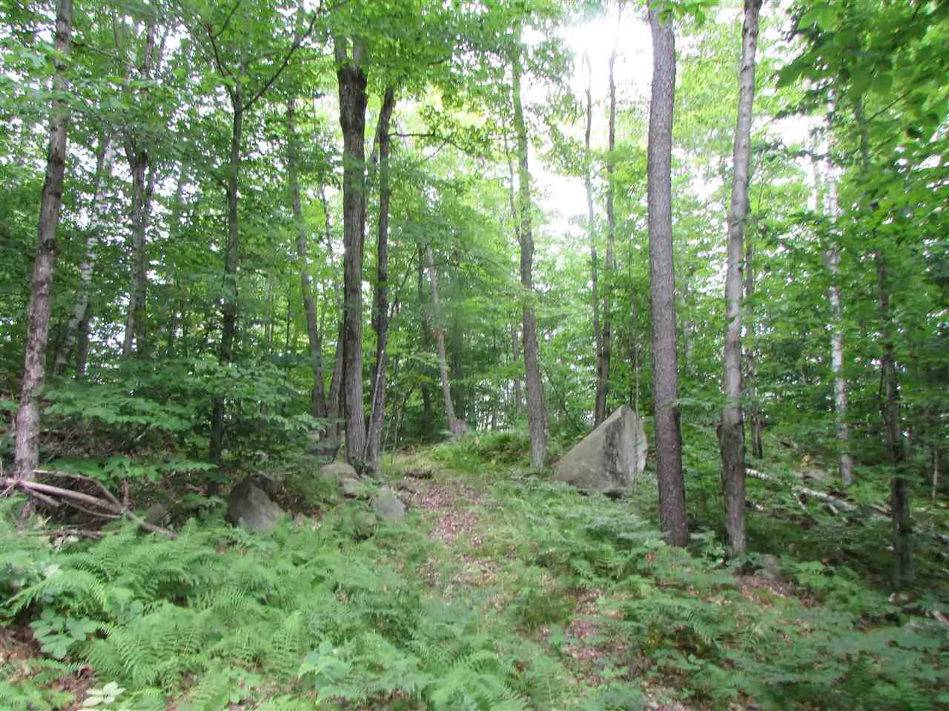 Nichols Pond Road Hardwick VT 05843