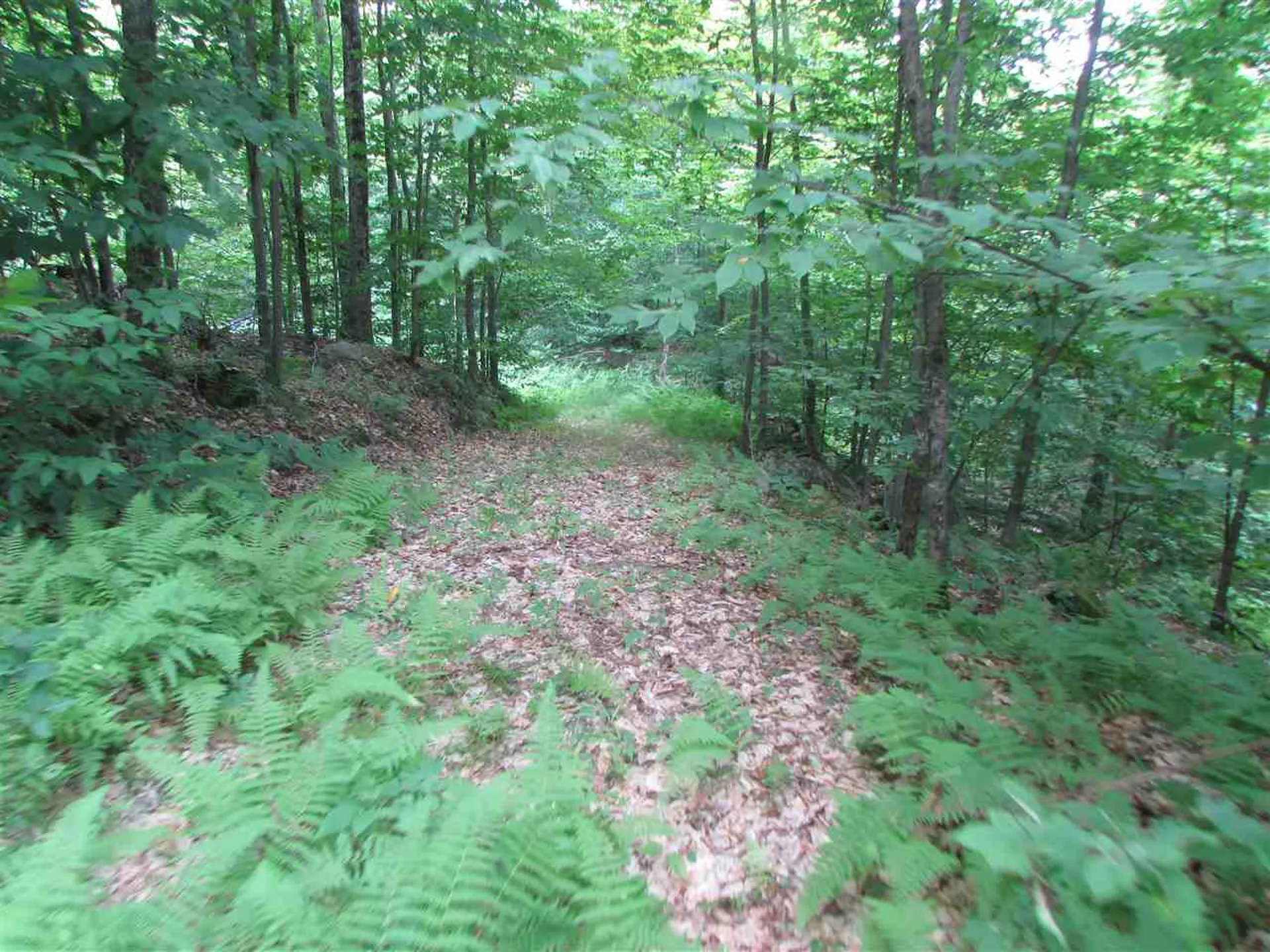 Nichols Pond Road Hardwick VT 05843