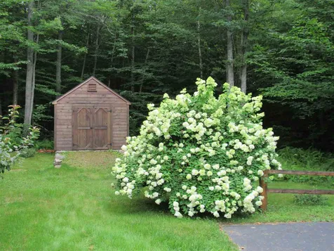 15 Mount Carter Drive Gorham NH 03581