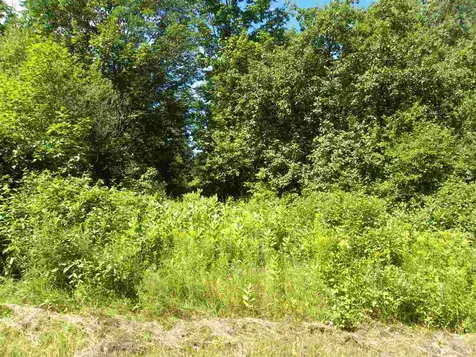 - Salmon (North) Place Glover VT 05875