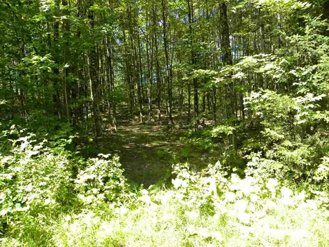 - Salmon (North) Place Glover VT 05875