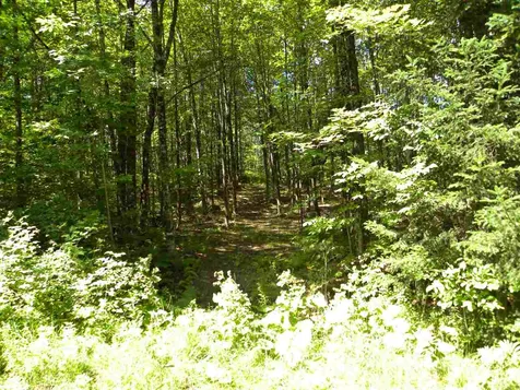 - Salmon (North) Place Glover VT 05875