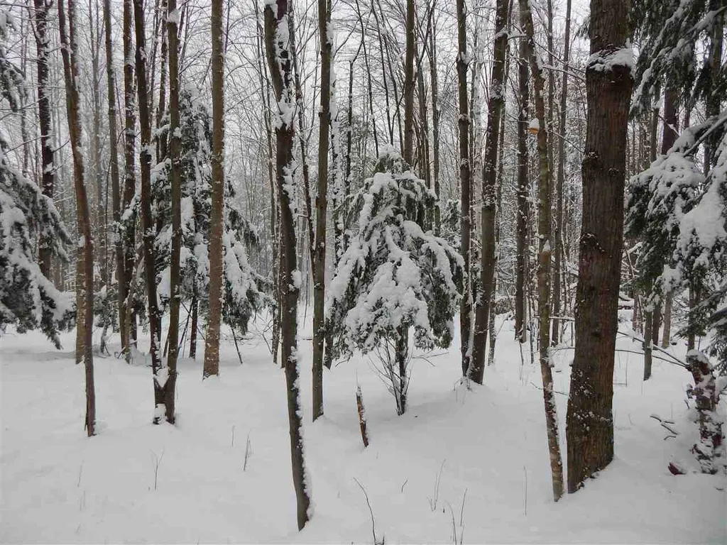 149 Raphael Road Waitsfield VT 05673