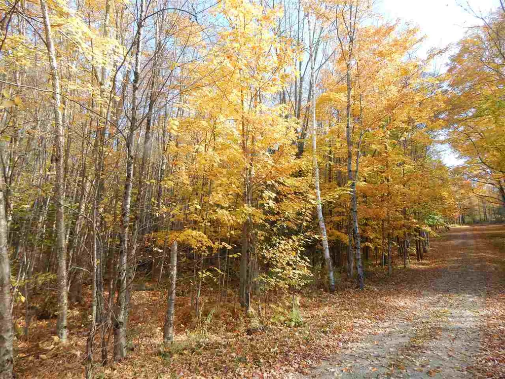 149 Raphael Road Waitsfield VT 05673