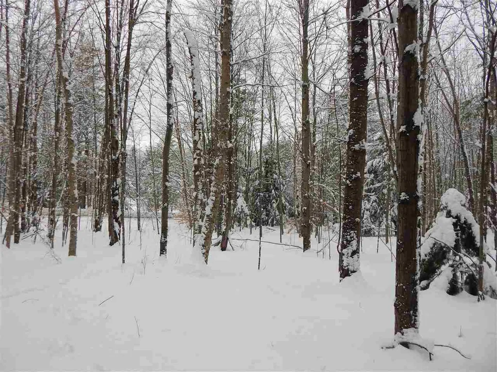 149 Raphael Road Waitsfield VT 05673