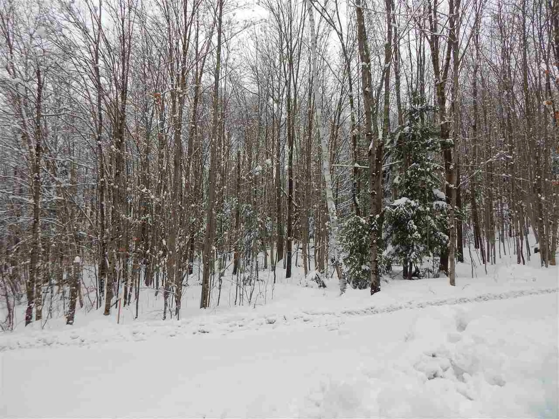 149 Raphael Road Waitsfield VT 05673