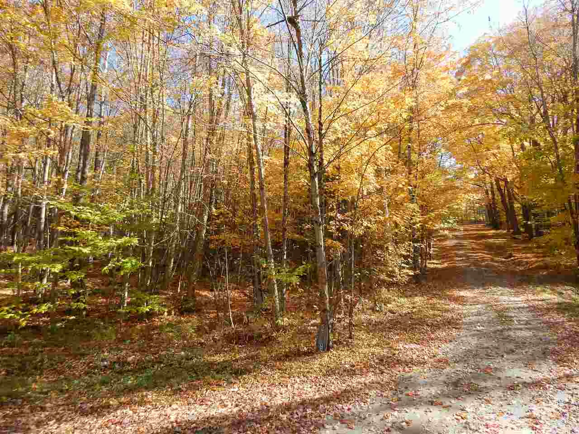 149 Raphael Road Waitsfield VT 05673