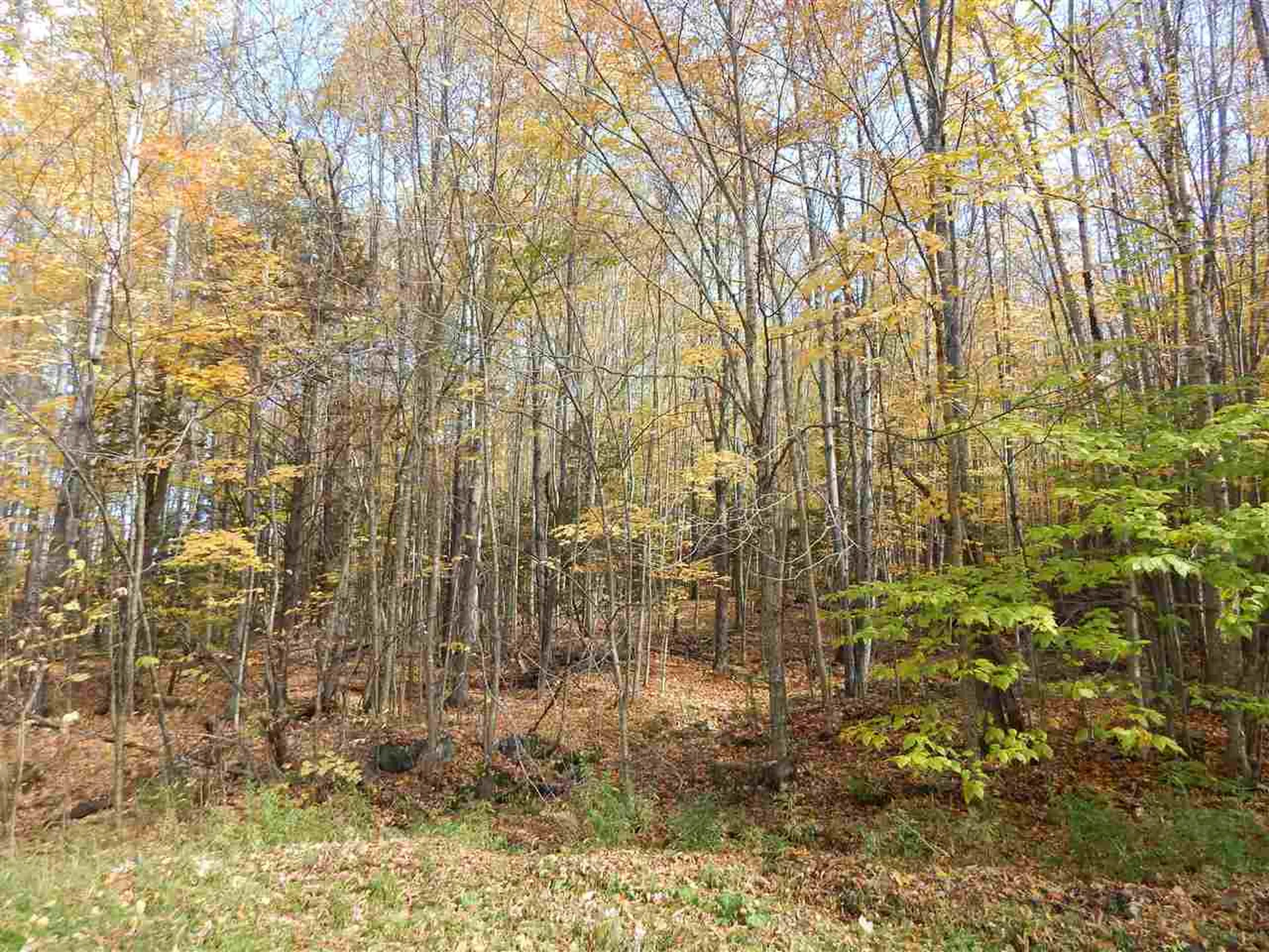 149 Raphael Road Waitsfield VT 05673