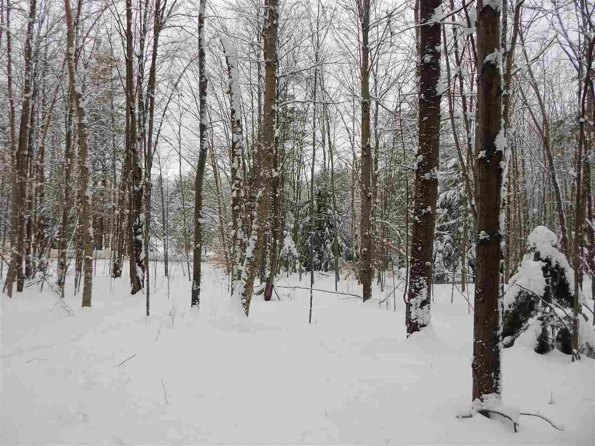 149 Raphael Road Waitsfield VT 05673