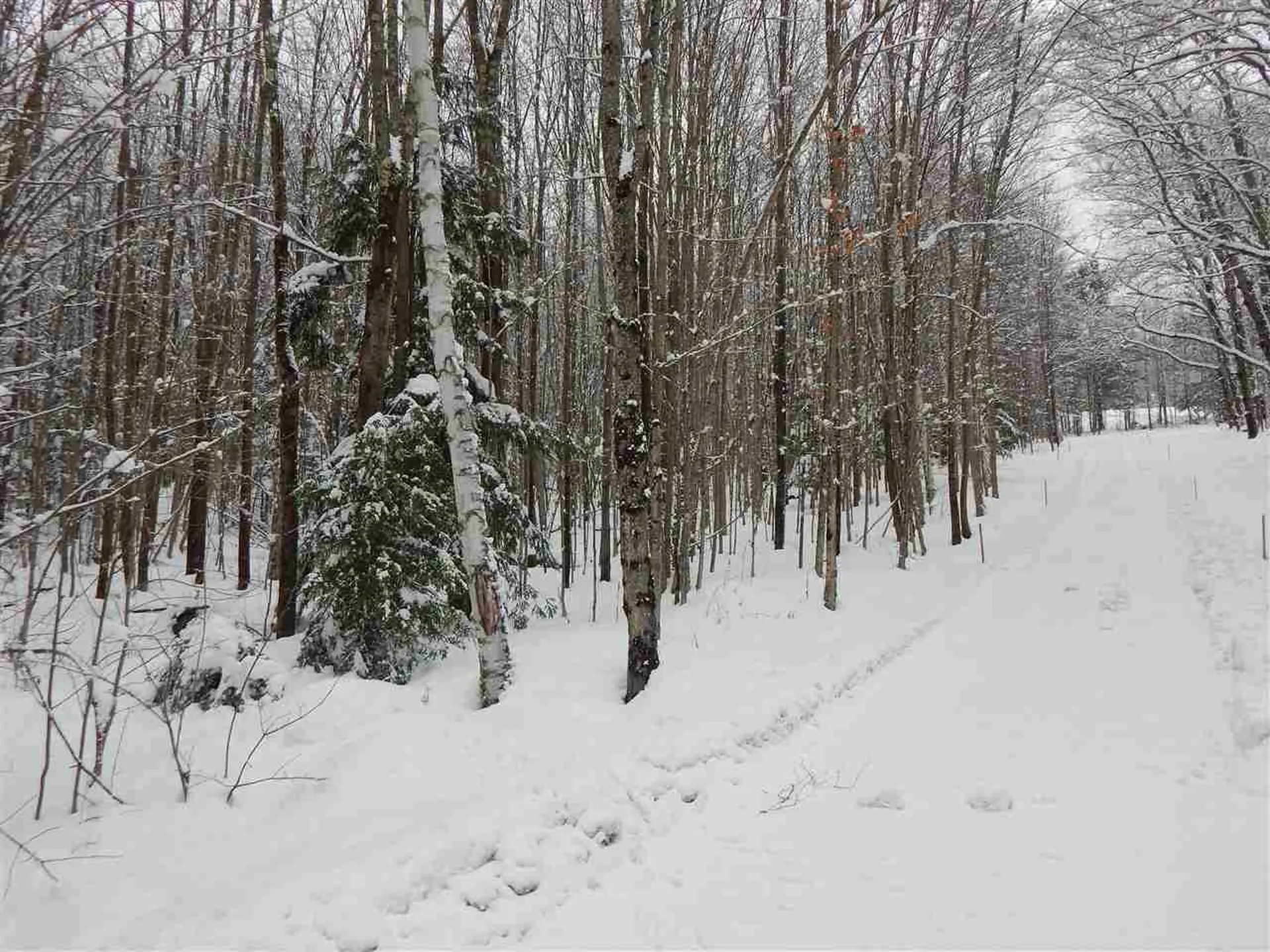 149 Raphael Road Waitsfield VT 05673