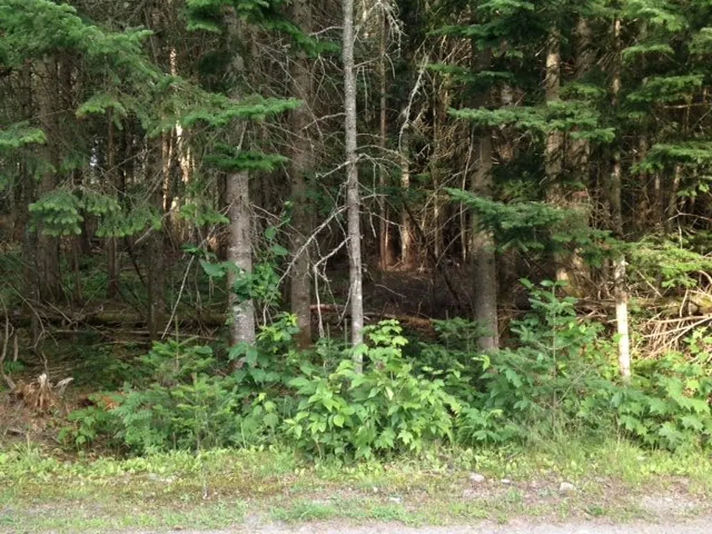 Stevens Road Pittsburg NH 03592