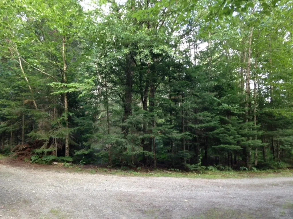 19 Baldwin Loop Pittsburg NH 03592