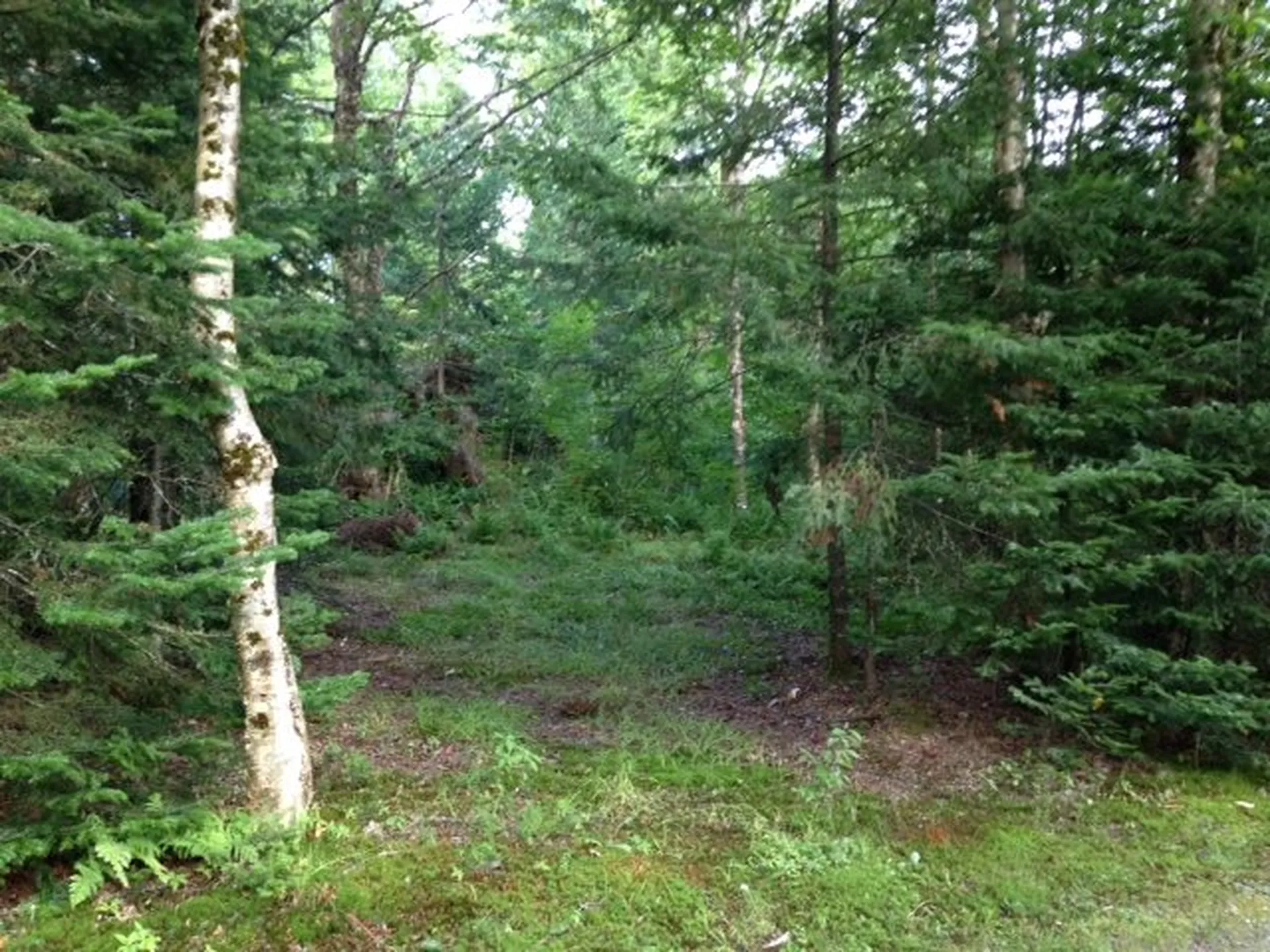 19 Baldwin Loop Pittsburg NH 03592
