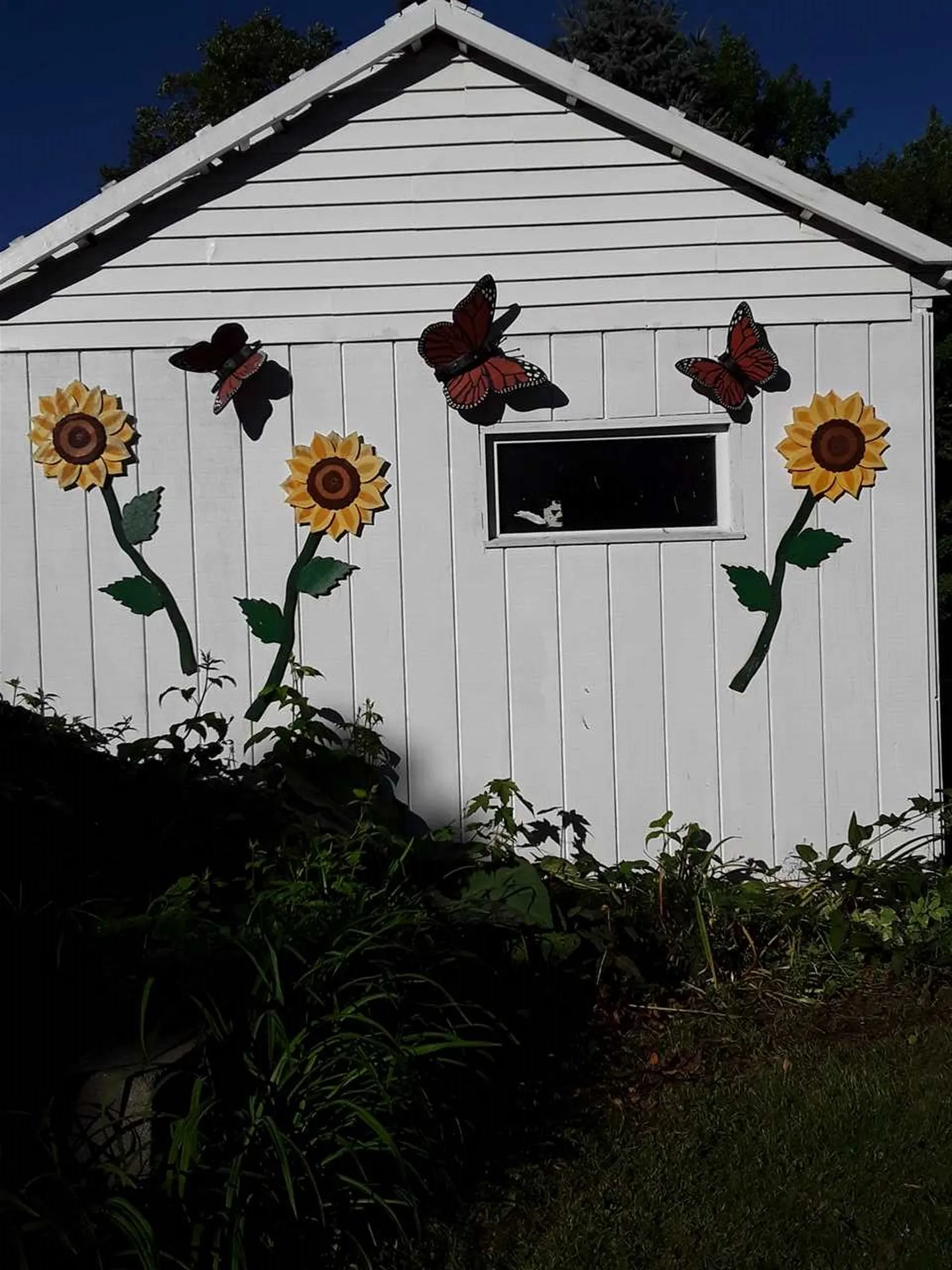 564 Mills Point Road Colchester VT 05446