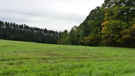 223 Whites Road Wilmington VT 05363