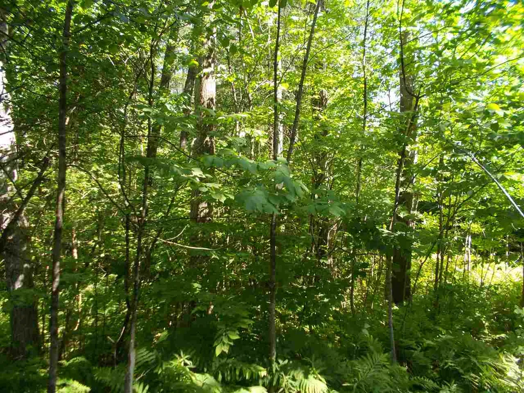 0 Hewitt Road Claremont NH 03743