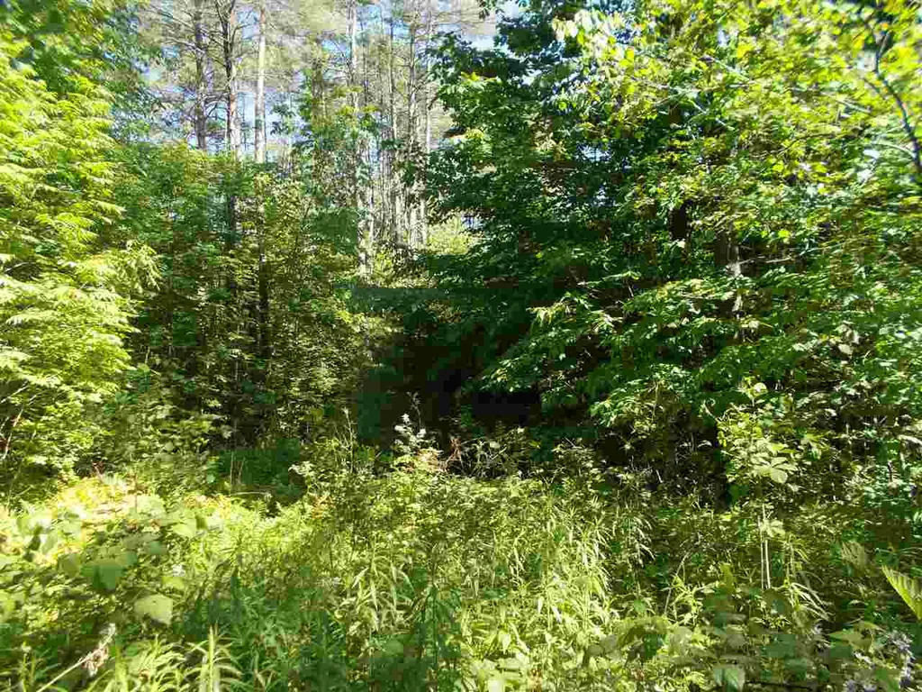 0 Hewitt Road Claremont NH 03743