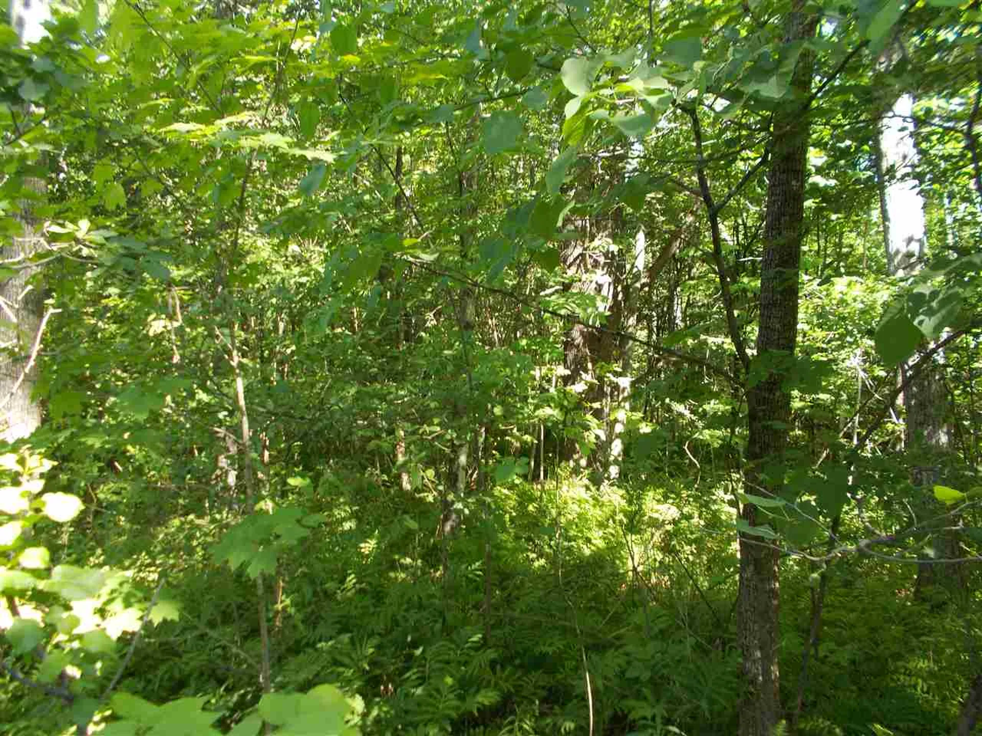 0 Hewitt Road Claremont NH 03743
